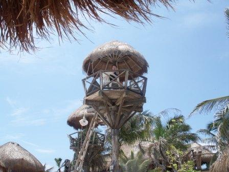 akumal-treehouse