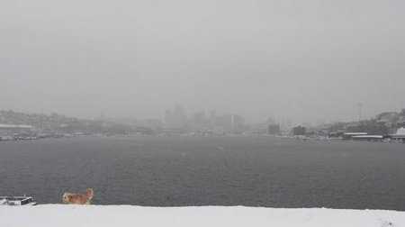 seattle-winter