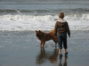 westport-beach westport-beach