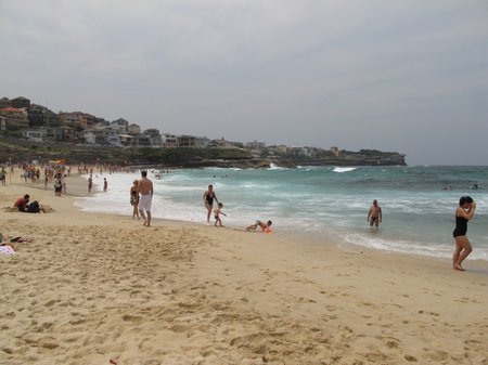 Beach In Sydney Manly Beach