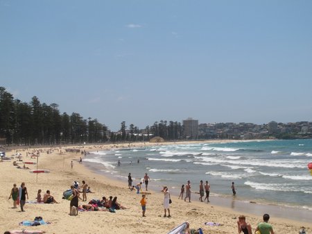 Beach in Sydney Manly Beach Wide