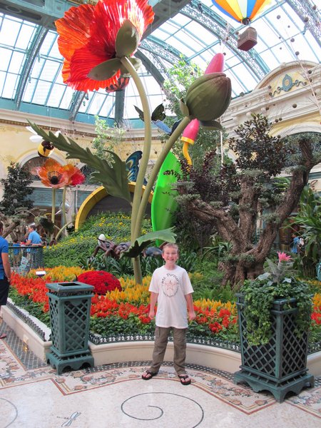 bellagio-conservatory