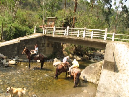vilcabamba-ecuador-horse-trekking