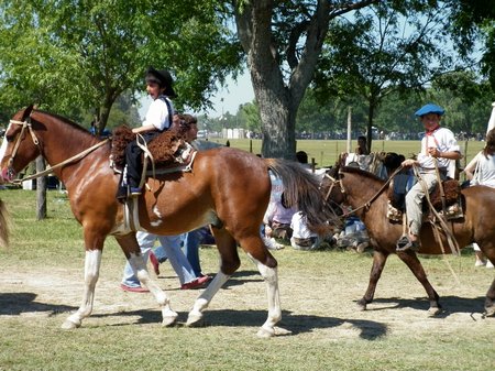 San Antonio de Areco Gaucho Festival San Antonio de Areco Gaucho Festival