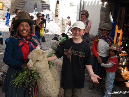 Peru-With-Kids-Cuzco-Llama