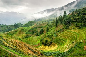 what-to-see-in-china-guilin