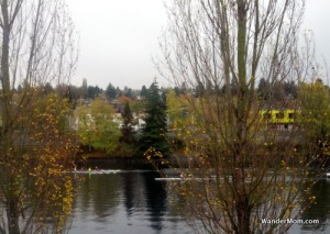 seattle-fremont-cut-rowers