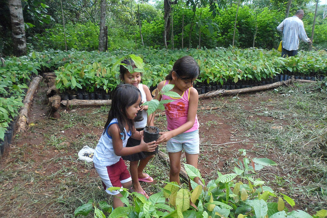 Sustainable-Harvest-children